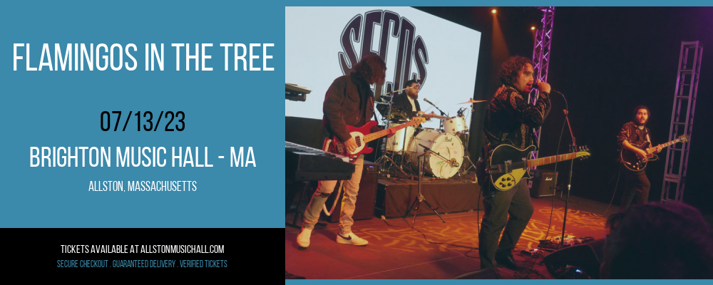 Flamingos in the Tree at Brighton Music Hall tickets Flamingos in the Tree at Brighton Music Hall